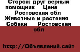 Сторож-друг верный помощник  › Цена ­ 10 - Ростовская обл. Животные и растения » Собаки   . Ростовская обл.